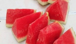 吃瓜真实爆料 吃瓜网每日大赛,真实爆料背后的精彩瞬间